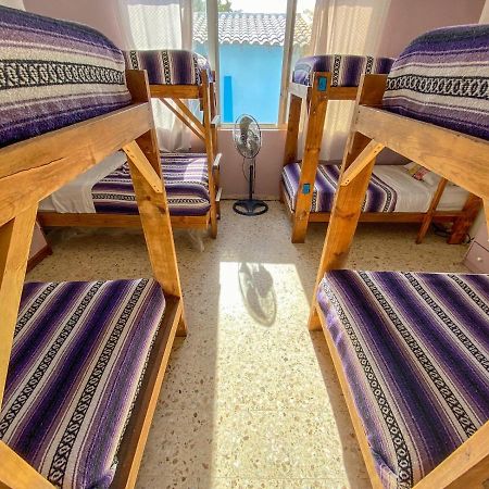 Wandering Monkey Guesthouse 马萨特兰 外观 照片