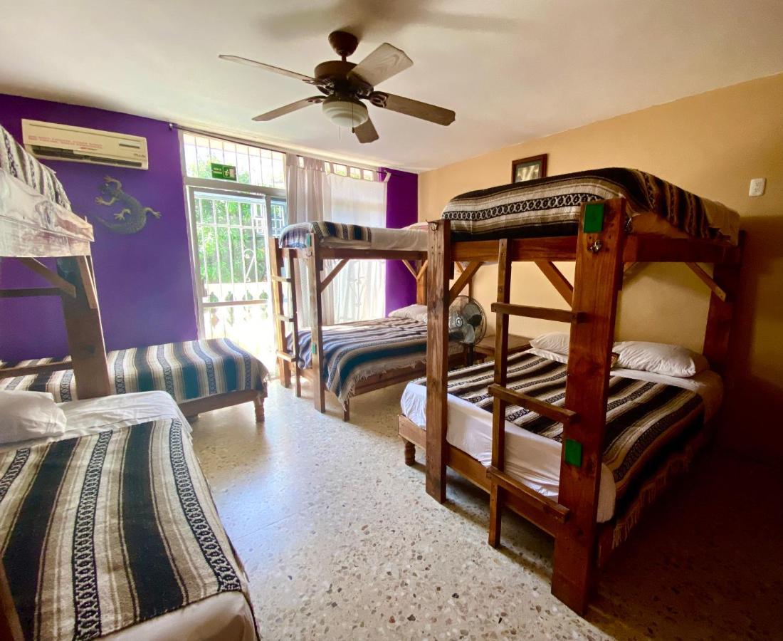 Wandering Monkey Guesthouse 马萨特兰 外观 照片