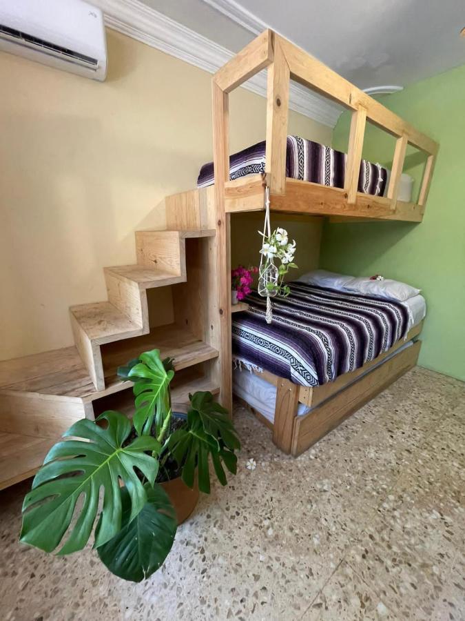 Wandering Monkey Guesthouse 马萨特兰 外观 照片