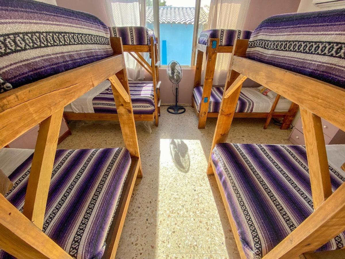 Wandering Monkey Guesthouse 马萨特兰 外观 照片