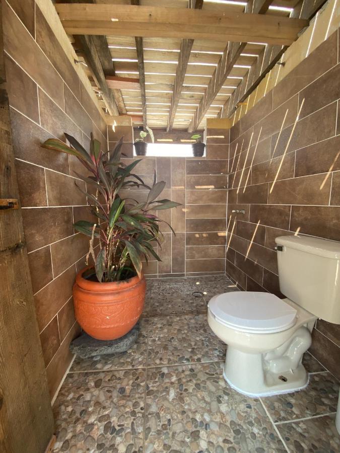 Wandering Monkey Guesthouse 马萨特兰 外观 照片